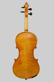 violonSylvieDos.jpg